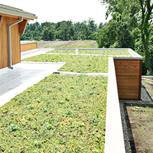 Green roof